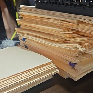 250 Manila File Folders